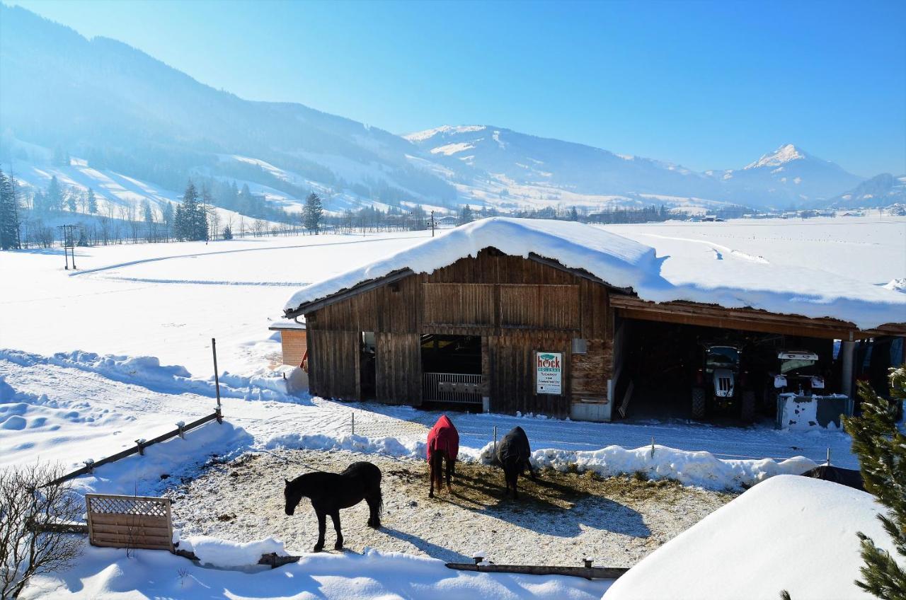 Villa Kleintoedlinggut Leogang Esterno foto