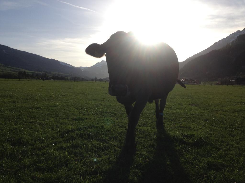 Villa Kleintoedlinggut Leogang Esterno foto